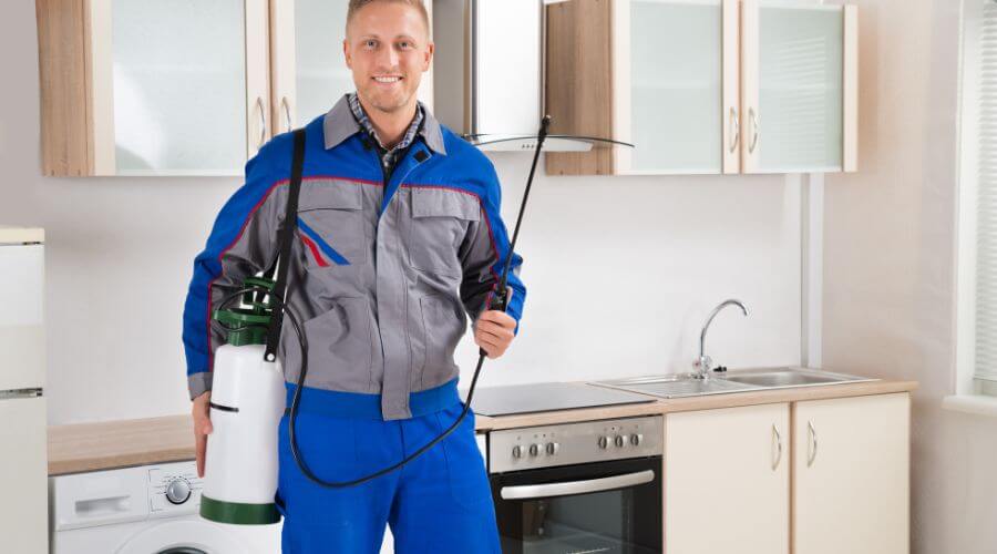 Professional pest control services in Kennewick
